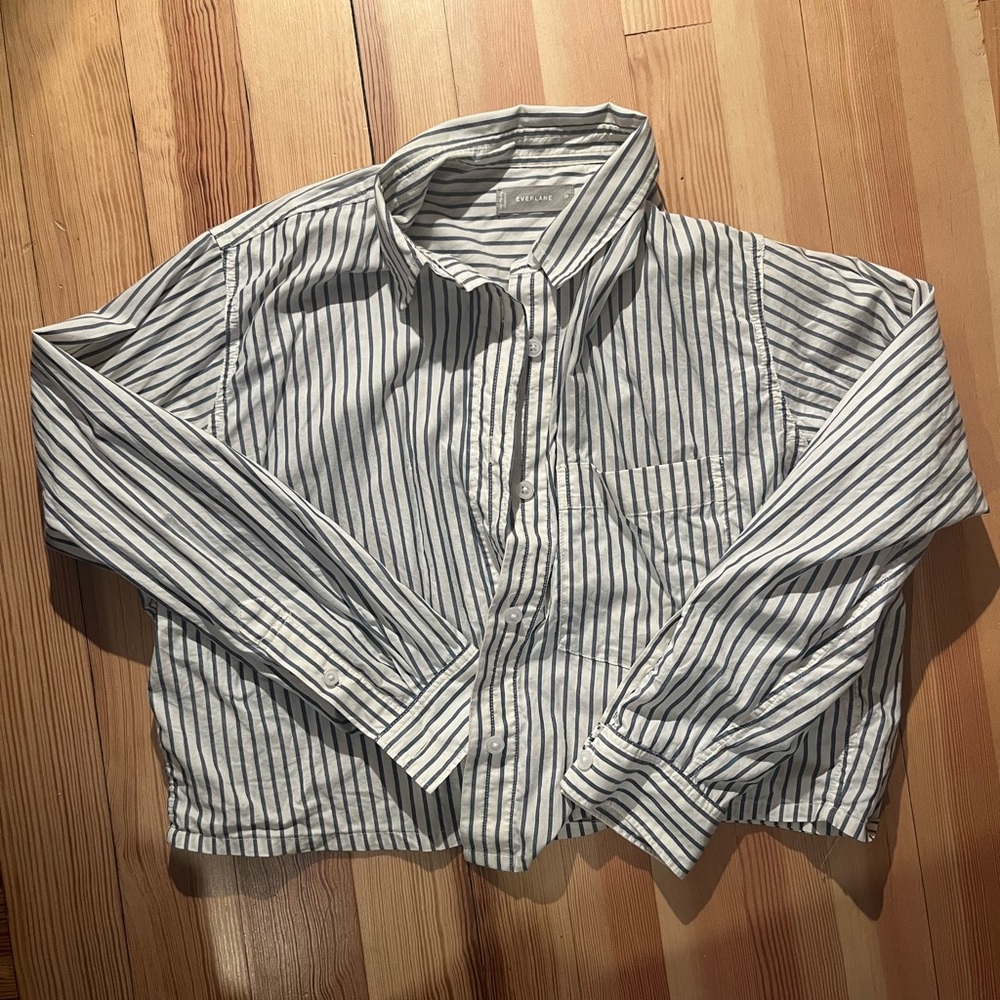 Everlane cropped long sleeve button down in blue and white stripes